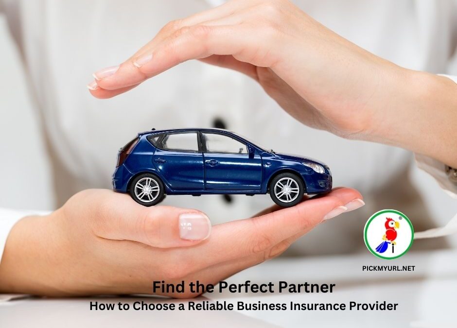 Find the Perfect Partner