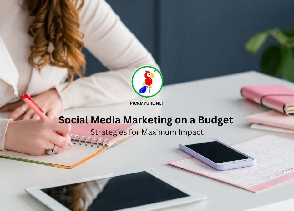 Social Media Marketing on a Budget
